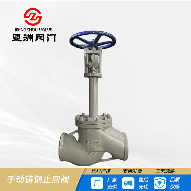 Manual cast steel check valve