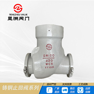 Power station check valve