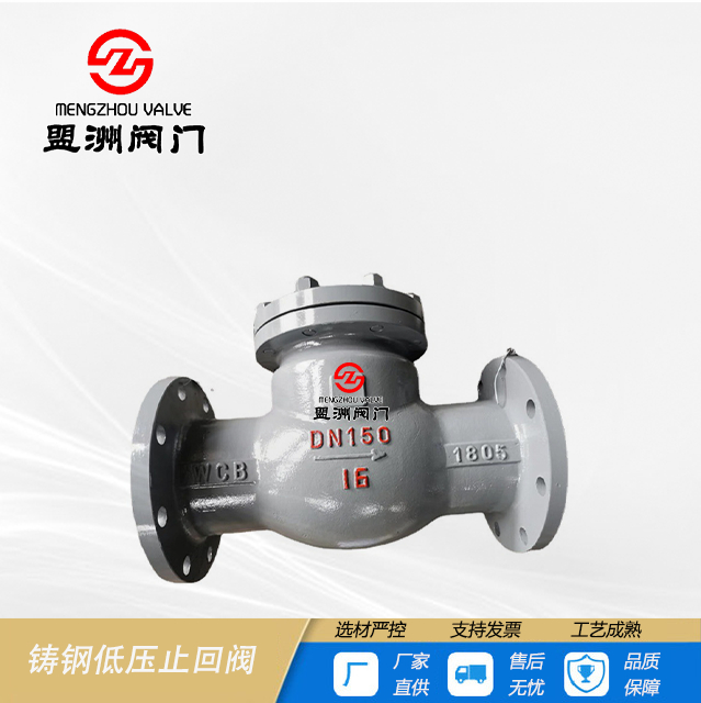 Cast steel low pressure check valve