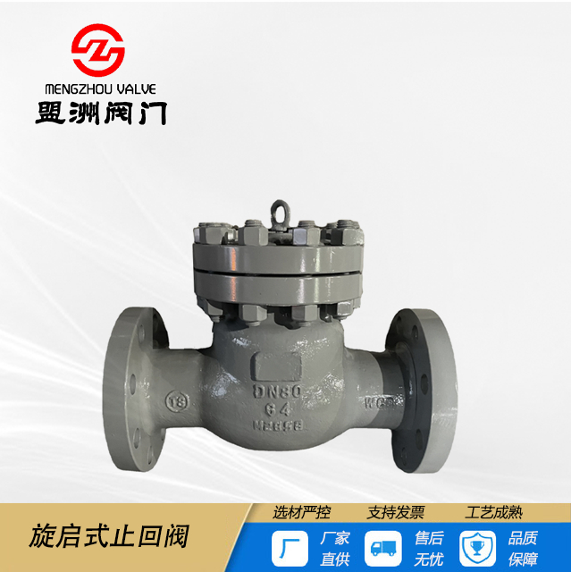 Swing check valve