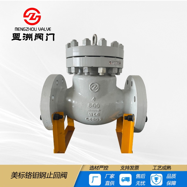 Chromium molybdenum steel check valve