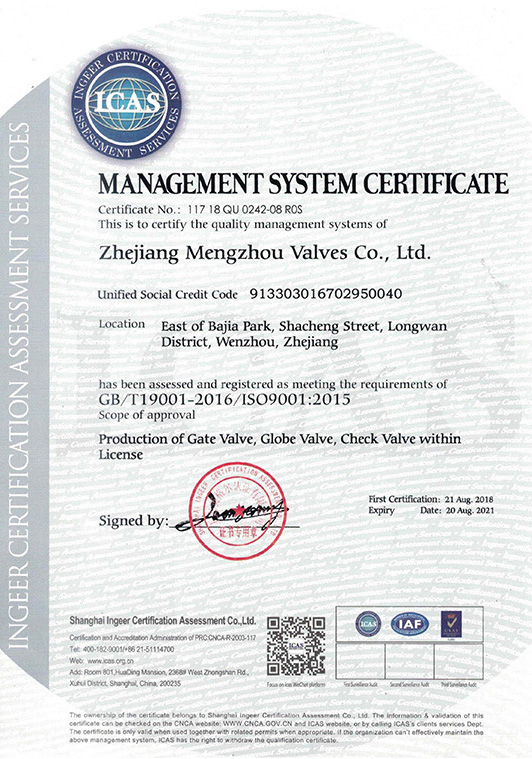 Management System Certification Certificate in English